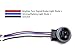 iJDMTOY Pair 3156 3157 Female Adapter Wiring Harness Pigtails Compatible with Both LED/Incandescent Bulbs for Turn Signal, DRL Driving or Brake/Tail Lights