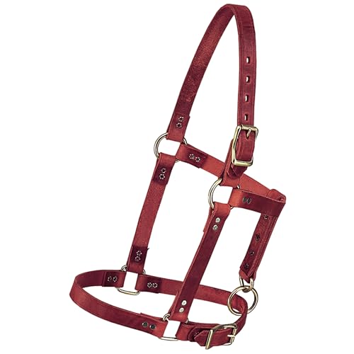 Licol riveté pour poulain bordeaux Weaver équipement élevage équidé