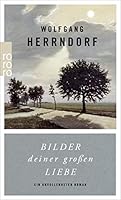 Bilder deiner großen Liebe: Ein unvollendeter Roman 3499269090 Book Cover