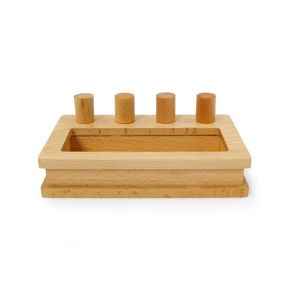Montessori Brett- und Box-Einsetzspiel, Feinmotorik- und Hand-Auge-Koordination Spielzeug für Kleinkinder ab 12 Monaten