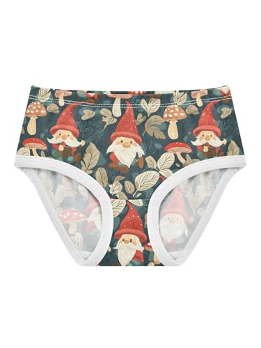 ZZKKO Forest Gnomes and Mushrooms Girls Underwear Toddler Panties for Girls Comfort Brief Size 2T