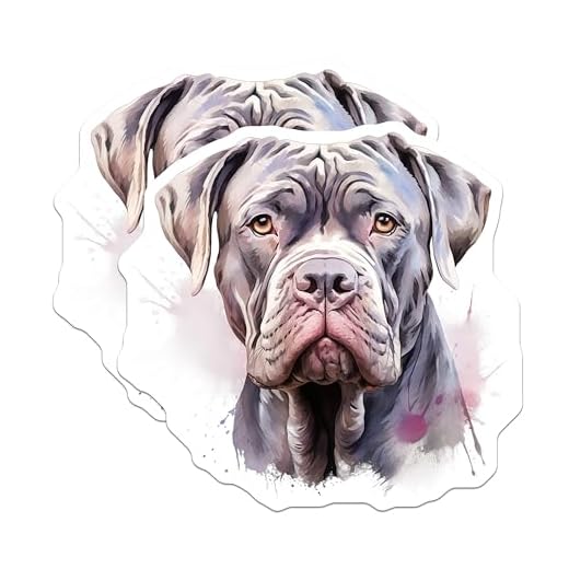 (2 Pack) Neapolitan Mastiff Stickers - Mastiff Dog Art - Gentle Giant Breed - Pet Owner Decal - Canine Portrait - 5" On Longest Side - Sticks to Smooth Flat Surfaces - Made in USA - BMCS29356