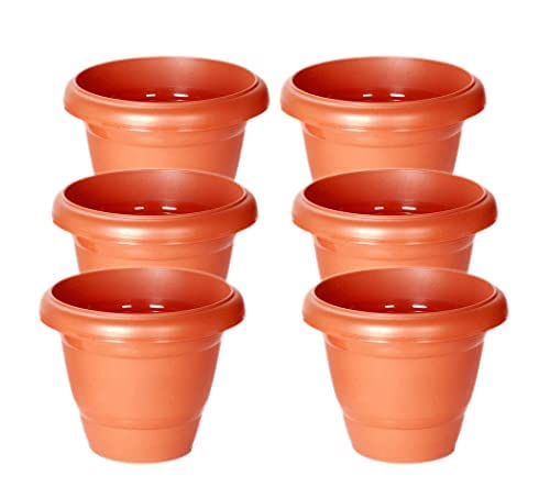 God Of Goods Home & Garden Decor Plastic Flower and Planter Pot with Bottom Plate, Red, 12 inch Pack of 6 (B09X57DHK9) Amazon Price History, Amazon Price Tracker
