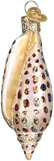 Old World Christmas Beach Glass Blown Ornaments for Christmas Tree Junonia Shell, Tan/Brown/White/Gold