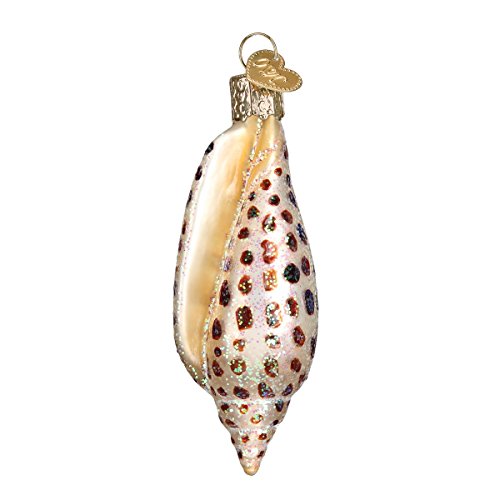 Old World Christmas Junonia Shell Glass Blown Ornament for Christmas Tree, Handcrafted Holiday Decoration, Seashell Collection
