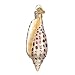 Old World Christmas Ornaments: Junonia Shell Glass Blown Ornaments for Christmas Tree (12465)