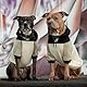 Spark Paws Hunde-Kapuzenpullover – Premium-Qualität, butterweich, hervorragender Komfort und Passform, beruhigende Fleece-Innenseite, geeignet für alle Rassen - Olivencreme - XL