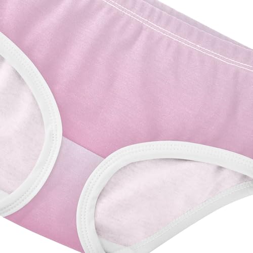 Joisal Magnolia Flamingo Gradient Ombre Toddlers Underwear Floral 2t Cotton Panties Little Girl Fun Print Briefs Underpants4