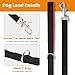 PETTOM Dog Training Leash Obedience Recall Agility Lead Puppy Black 30ft 50ft 65ft Great for Play Camping Beach Backyard(L 30Ft, Black)