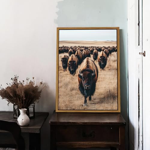Image of Western Bison Wall Art Buffalo Cow Pictures Wall Decor American Bison Herd Decor Western Wildlife Animals Canvas Prints Farmhouse Highland Cow Artwork for Living Room Office Home Decoration 12x16 inch