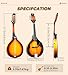 Vangoa Mandolin Musical Instrument A Style, Acoustic Mandolin Instrument Kit Italian 8 String for Professional Beginners Adults Teens Youth Kids, Sunburst, Glossy