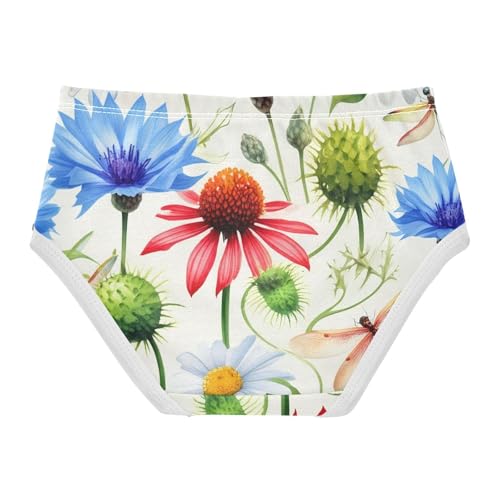 Girls Underwear Toddlers 2t Cotton Little Girl Panties Funny Underpants Briefs Watercolor Wildflowers Coneflowers2