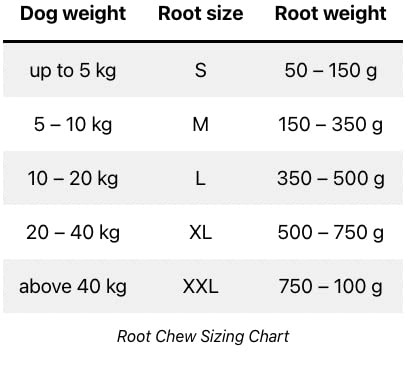 Kauwurzel für Hunde vers. Größen I 100% Naturprodukt I Zahnreinigung für Hunde I Hundesicher splittert Nicht I wirkt beruhigend | Größe: L - 10-12kg