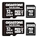 Gigastone 32GB MicroSDHC Speicherkarte 2er-Pack + SD Adapter, für Action-Kamera, GoPro, Drohne und Tablet, Lesegeschwindigkeit bis zu 90MB/s, Full HD-Videoaufnahme, Micro SD Karte UHS-I Klasse 10 U1