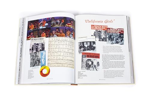 The Beach Boys vinyle album indispensable pour les collectionneurs - 8