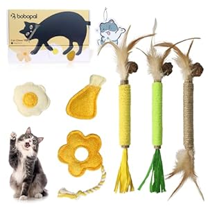 Bobopal Silvervine Katzengras Luffa Kauspielzeug Set