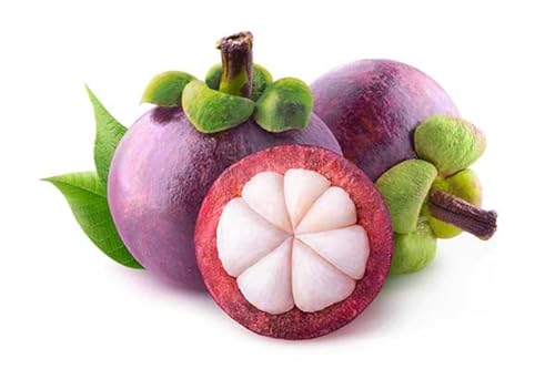 FreshToHome Mangosteen 450g (Indonesia)