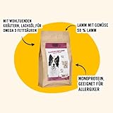 Dogs’n Tiger Adult Premium Hunde Futter, Unschuldslamm, Hunde Trockenfutter mit Lamm & Kräutern, Monoprotein, – ohne Zucker, Getreide & Konservierungsstoffe, 12kg