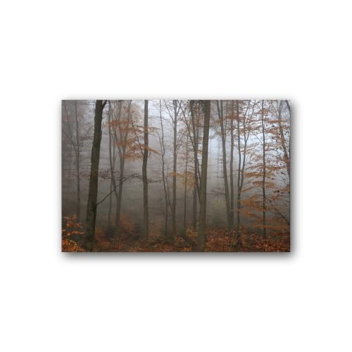Tableau sur toile d'une forêt brumeuse d'automne avec finitions premium pour salon élégant