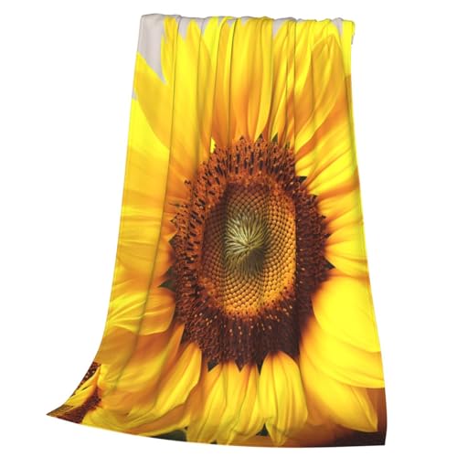 Couverture flanelle haut de gamme jeté de canapé microfibre doux
