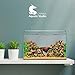 Chihiros B Series - Full Spectrum Dimmable Freshwater Aquarium LED Light, App Controlled for Planted Tank Aquascaping - Fits 60-80CM - B60