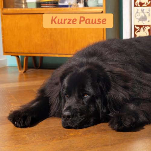 Edgard & Cooper Hundefutter trocken Getreidefrei für Medium Adult Hunde (7kg), frisches Huhn, ausgewogene Ballaststoffe für die Darmgesundheit, mit Apfel, Süßkartoffel und Grünkohl, nie Fleischmehl