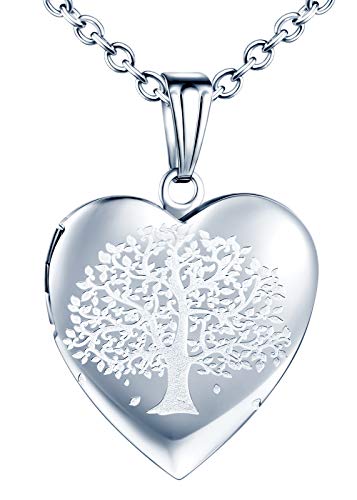 CPSLOVE Collar con Foto de corazón, Colgante de Acero Inoxidable para Mujer, Colgante de árbol de la Vida, Collar conmemorativo, Puede Poner Fotos, tallando el patrón del árbol de la Vida