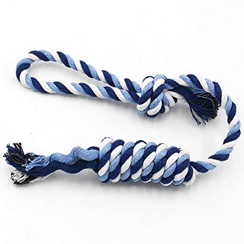    ϋɓIChewers^t[ṽ[v̂́A2F̃N[jO^i팢j푈̌̂᎕̂߂ɑK͂ђK͂̌sł̖ȃ[v̂ Pߋ()