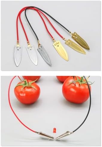 Science Fair Project Kit, Fruit Experiment Equipment With Metal Plates And Wires, Teaches Energy Conversion And Circuit Basics For Students, Safe Hands-on Physics Learning Tool - 5