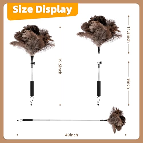 Image of Extendable Ostrich Feather Duster for Cleaning with 49 inch Rotatable Pole