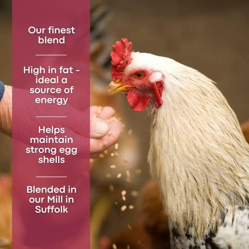 Copdock Mill Mixed Corn Poultry Feed 5 Litre Tub  Poultry Food for Chickens and Adult and Laying Poultry, Ducks, Geese, Bantams  100% Natural