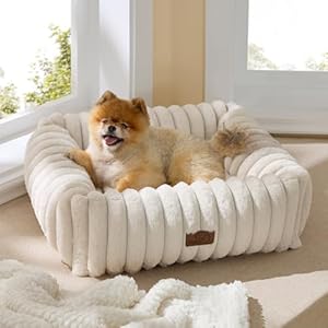Bedsure Cute Dog Bed for Small Medium Dogs – Washable Furry Puppy Beds, Rectangle Orthopedic Corduroy Fleece Pet Beds with Removable Zipper Cover, 25x21x7inches, Cream