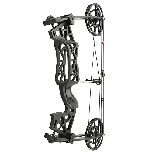 SHARROW Archery Compound Bow Steel Ball Dual Purpose Hunting Bow 40-65lbs Adjustable 21" Short Axis for Adult Outdoor Bow Hunting Fishing(Type 1)