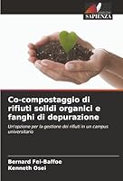 Co-compostaggio di rifiuti solidi organici e fanghi di depurazione (Italian Edition) 6208956692 Book Cover