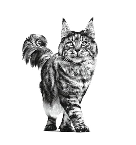 ROYAL CANIN GASTROINTESTINAL Fibre Response – Bild 5
