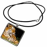 3dRose Michigan, Detroit Zoo, tiger at rest - US23 DGU0007 - Darrell Gulin Necklace With Rectangle Pendant