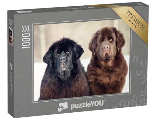 Amazon squisyh hundefutter test