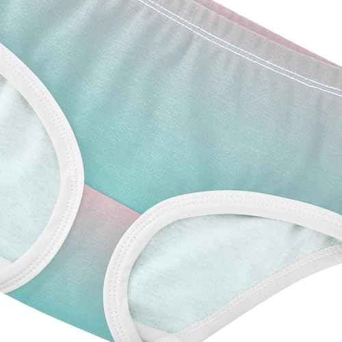 Blush Pink Turquoise Gradient Little Girl Panties Toddler Girls Underwear Cotton Animal Underpants Briefs 2t4