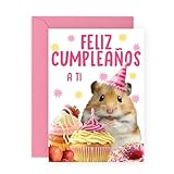 Central 23 Hámster Tarjeta Cumpleaños Lindo Animal Hombre Mujer Mamá Abuela Viene Con Pegatinas Regalo Cumpleaños Lindo Regalo