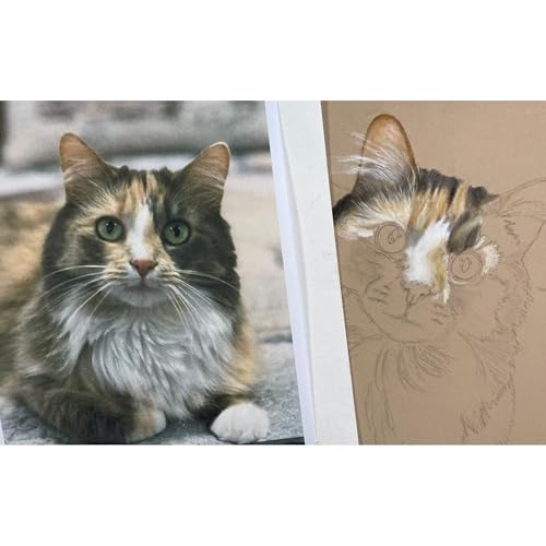Episode 427: History of Pastel Pencils cover art