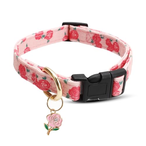 킢RbghbOJ[ ^p ʃfUC 킢sN̉ԃy_glbNX ̎q j̎q j   ybg  \tgt@ubN ߉\ q̎  - M