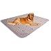 ✅Washable Dog Pee Pads + Free Puppy Grooming Gloves,Puppy Pads ,Reusable Pet Training Pads,Large Dog Pee Pad (36x41)/Waterproof Pet pads for dog Bed Mat/Super Absorbing Whelping Pads (2 Pack, 36"X41")