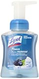 Lysol Touch of Foam Foaming Hand Soap, Wild Berry Bliss, Pump, 8.5 Ounce
