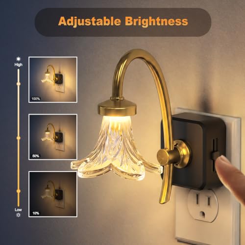 Image of JandCase Night Light, Night Lights Plug into Wall, Glass Flower Nightlight
