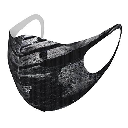 [igsticker] fUC }XN QZbg |GXe 􂦂 z}XN XLTCY 傫 jp 023652 mN ʐ^