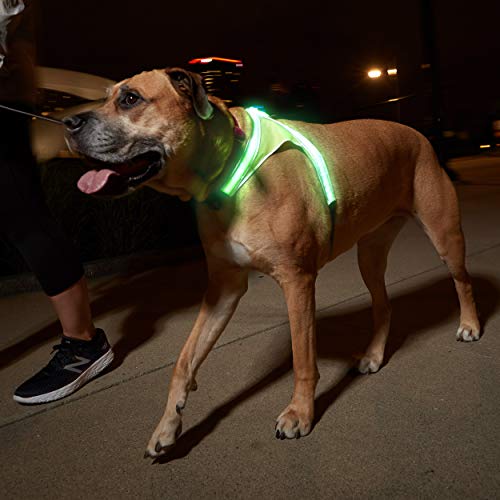 Noxgear LightHound - Multicolor LED Illuminated, Reflective Dog Harness (X-Large) - Thumbnail 3