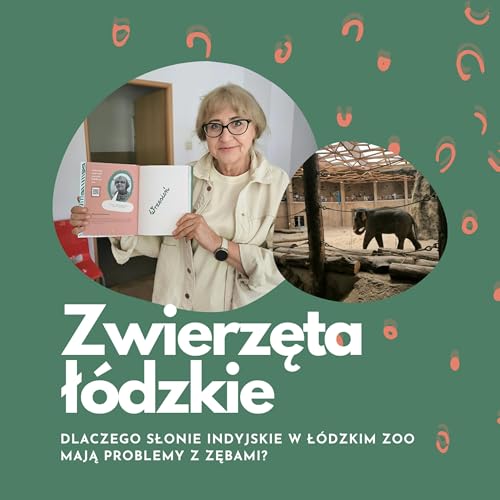 Dlaczego słonie w Ł&oacute;dzkim Zoo mają problemy z zębami? | dr Magdalena Janiszewska | Zwierzęta ł&oacute;dzkie