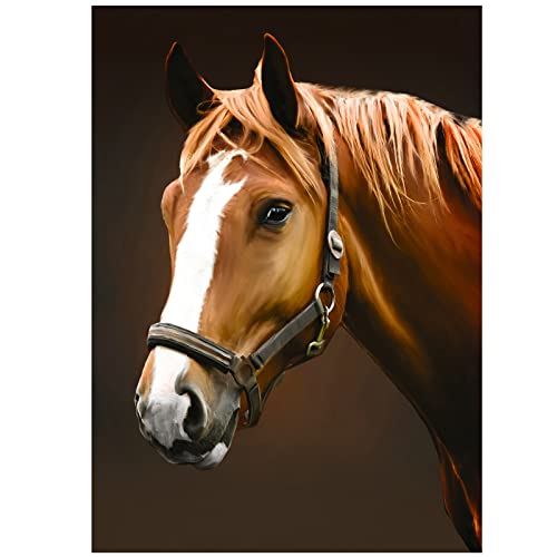 RICUVED Cavallo Diamond Painting Kit