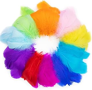 Wendergo Coloured Feathers for Crafting, 300 Pcs Craft Feathers for Kids, Natural Goose Colourful Feathers Mixed Coloured for DIY Decoration Hat Vase Dream Catcher Mask Collage Cat Stick