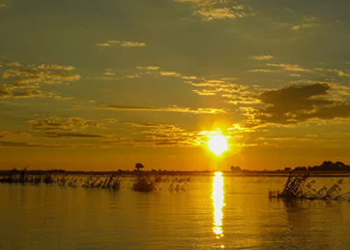 Experience The Magic Of Endless Sunsets: 10 All Occasion Premium Greeting Cards (5 X 7 Inch) Featuring Stunning Photography From Around The World By Marvin Bowser, Blank Inside With Envelopes Included - 10 Unique Designs, 1 Of Each #TOP4